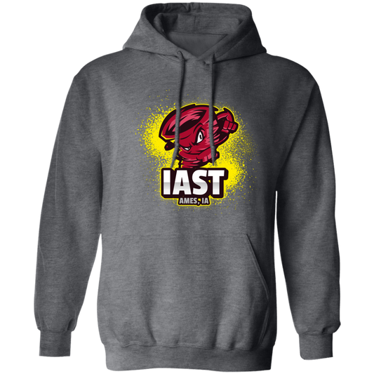 IAST Pullover Hoodie 8 oz (Closeout)